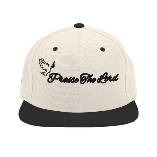 Praise Snapback Hat
